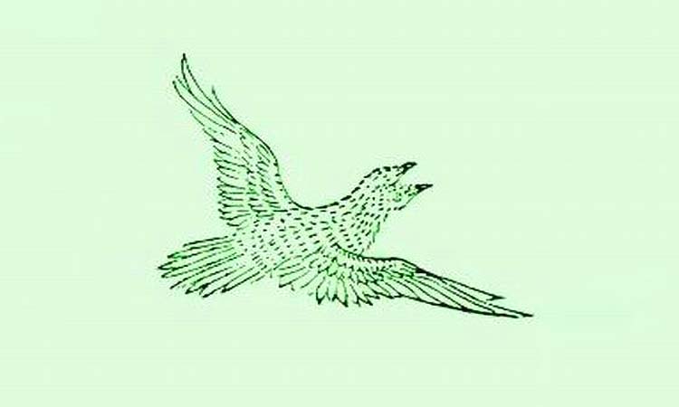 Jian bird